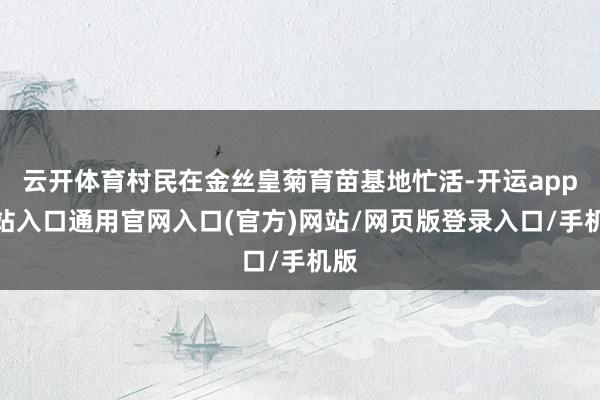 云开体育村民在金丝皇菊育苗基地忙活-开运app全站入口通用官网入口(官方)网站/网页版登录入口/手机版