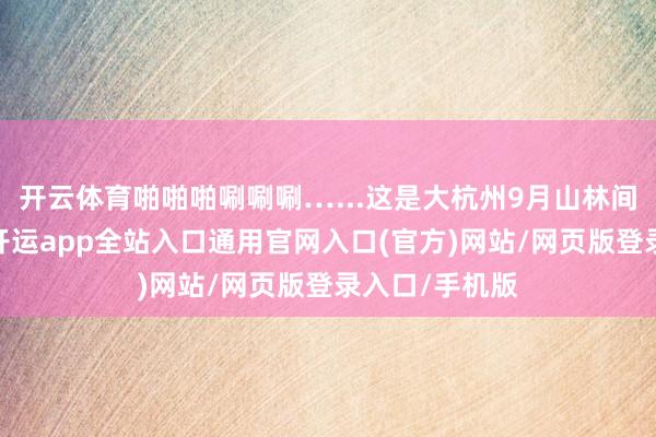 开云体育啪啪啪唰唰唰…...这是大杭州9月山林间奥妙的声息-开运app全站入口通用官网入口(官方)网站/网页版登录入口/手机版