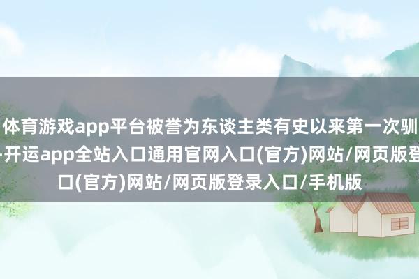 体育游戏app平台被誉为东谈主类有史以来第一次驯服 AI 棋手之局-开运app全站入口通用官网入口(官方)网站/网页版登录入口/手机版